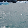 20220513_130331.jpg
