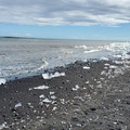 20220513_135331.jpg