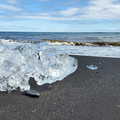 20220513_141540.jpg