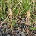 20220513_163703.jpg