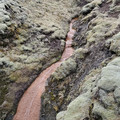 20220513_170552.jpg