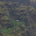 20220514_171644.jpg