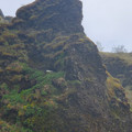 20220514_171700.jpg