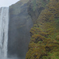 20220514_171721.jpg