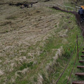 20220514_174816.jpg
