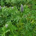 20220515_105310.jpg