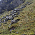 20220515_115508.jpg