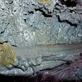 20220515_154014.jpg