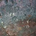 20220515_154654.jpg