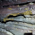20220515_155919.jpg