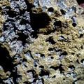 20220515_160226.jpg
