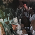 20220515_161448.jpg