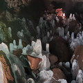 20220515_161450.jpg