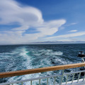 20220516_105826.jpg