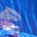 20220516_115605.jpg