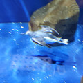20220516_115609.jpg