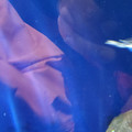 20220516_115617.jpg