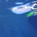 20220516_115642.jpg