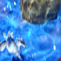 20220516_115649.jpg