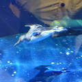 20220516_115651.jpg