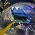 20220516_120040.jpg