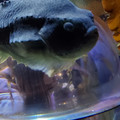 20220516_120100.jpg