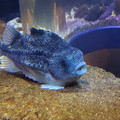 20220516_120229.jpg