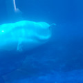 20220516_121110.jpg