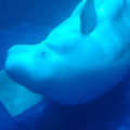 20220516_121128.jpg