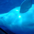 20220516_121129.jpg