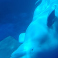 20220516_121137.jpg