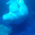 20220516_121205.jpg