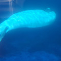 20220516_121215.jpg