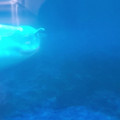 20220516_121219.mp4
