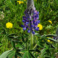 20220516_133247.jpg