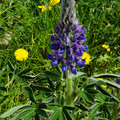 20220516_133248.jpg