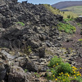 20220516_133451.jpg