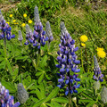 20220516_134144.jpg