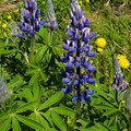 20220516_134154.jpg