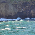 20220516_170651.jpg
